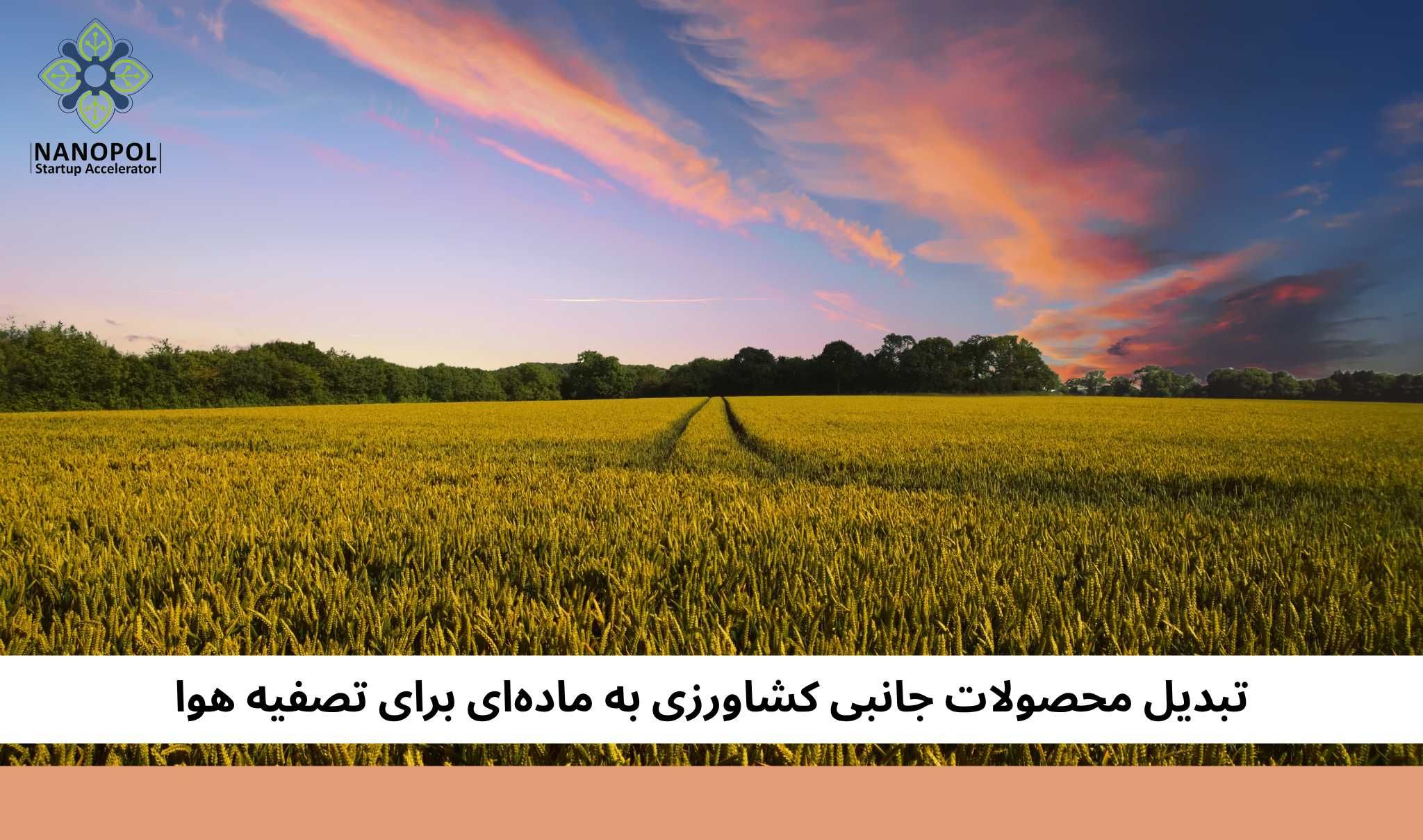 تبدیل محصولات جانبی کشاورزی به ماده‌ای برای تصفیه هوا