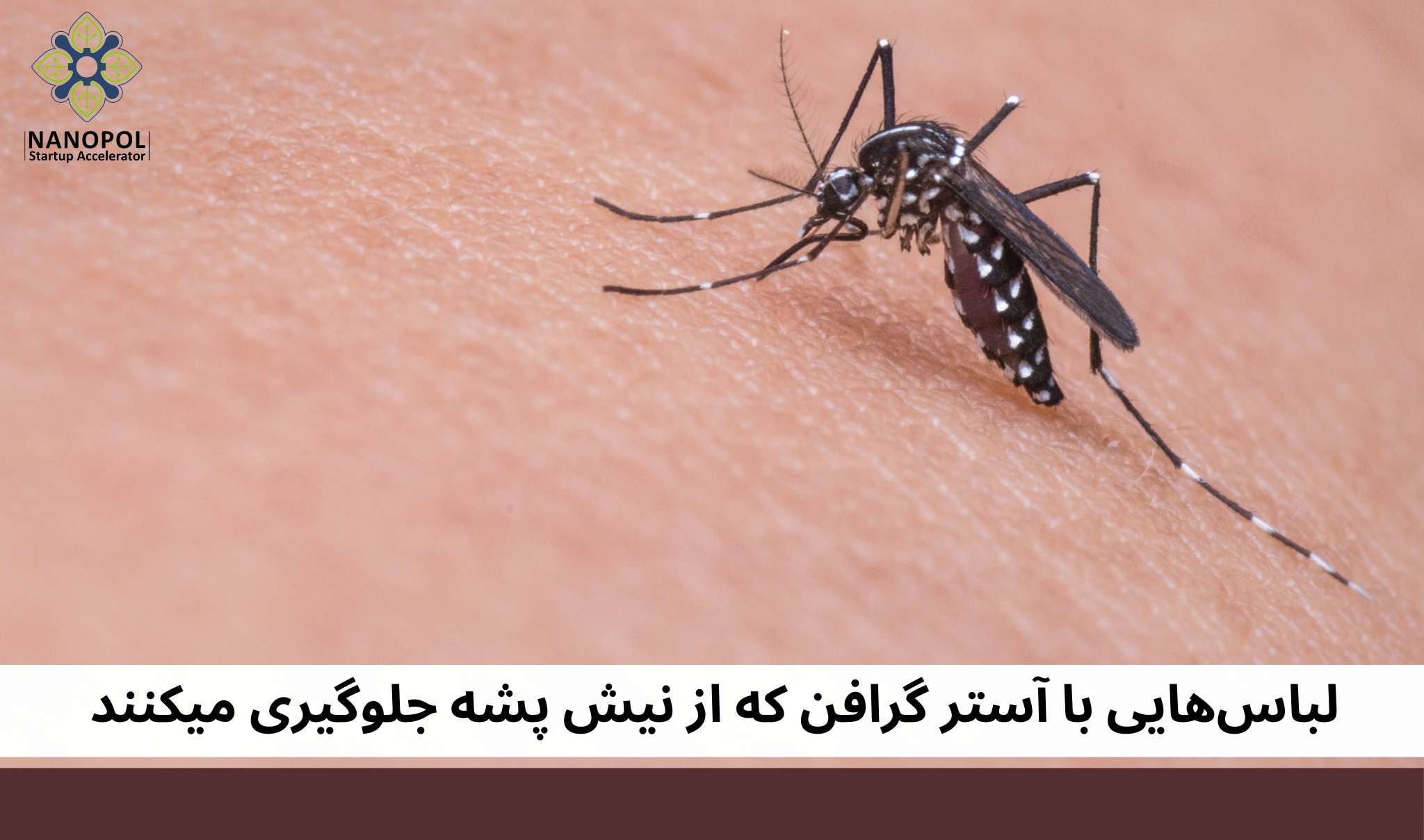 لباس‌های با آستر گرافن که از نیش پشه جلوگیری می‌کنند