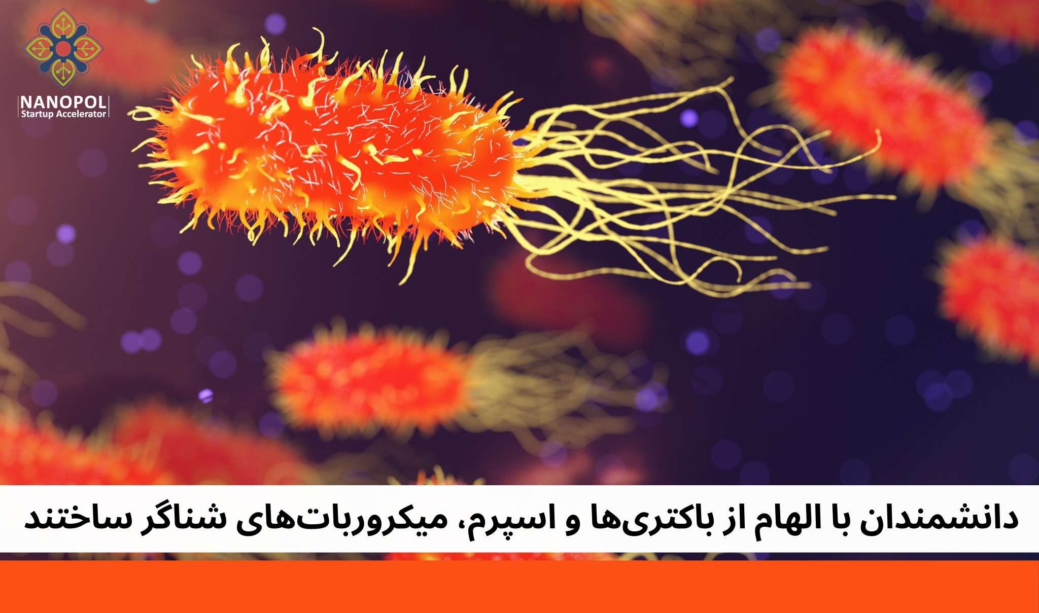 دانشمندان با الهام از باکتری‌ها و اسپرم، میکرو ربات‌های شناگر ساختند