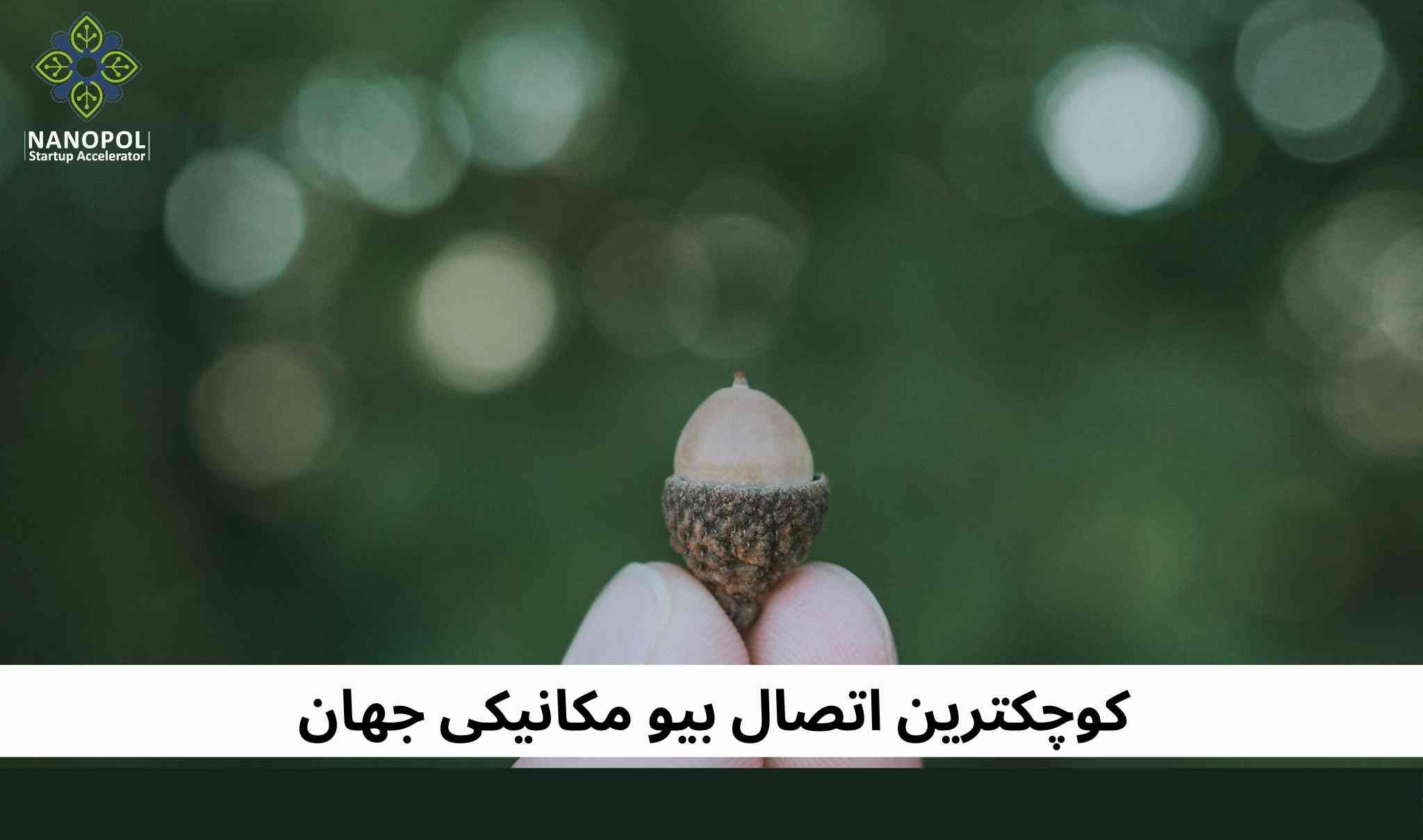 ساخت کوچکترین اتصال بیومکانیکی جهان 