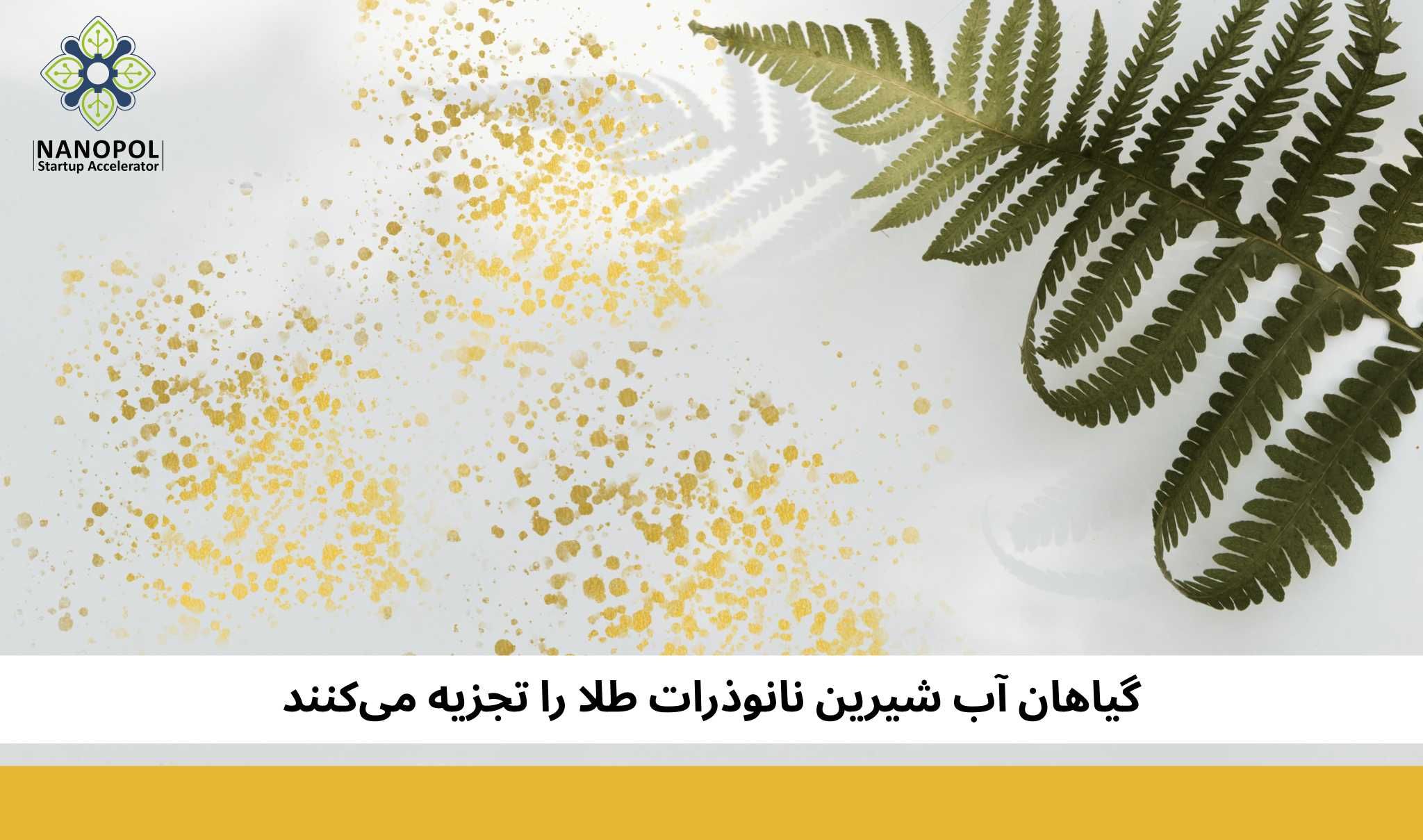 گیاهان آب شیرین نانوذرات طلا را تجزیه می‌کنند