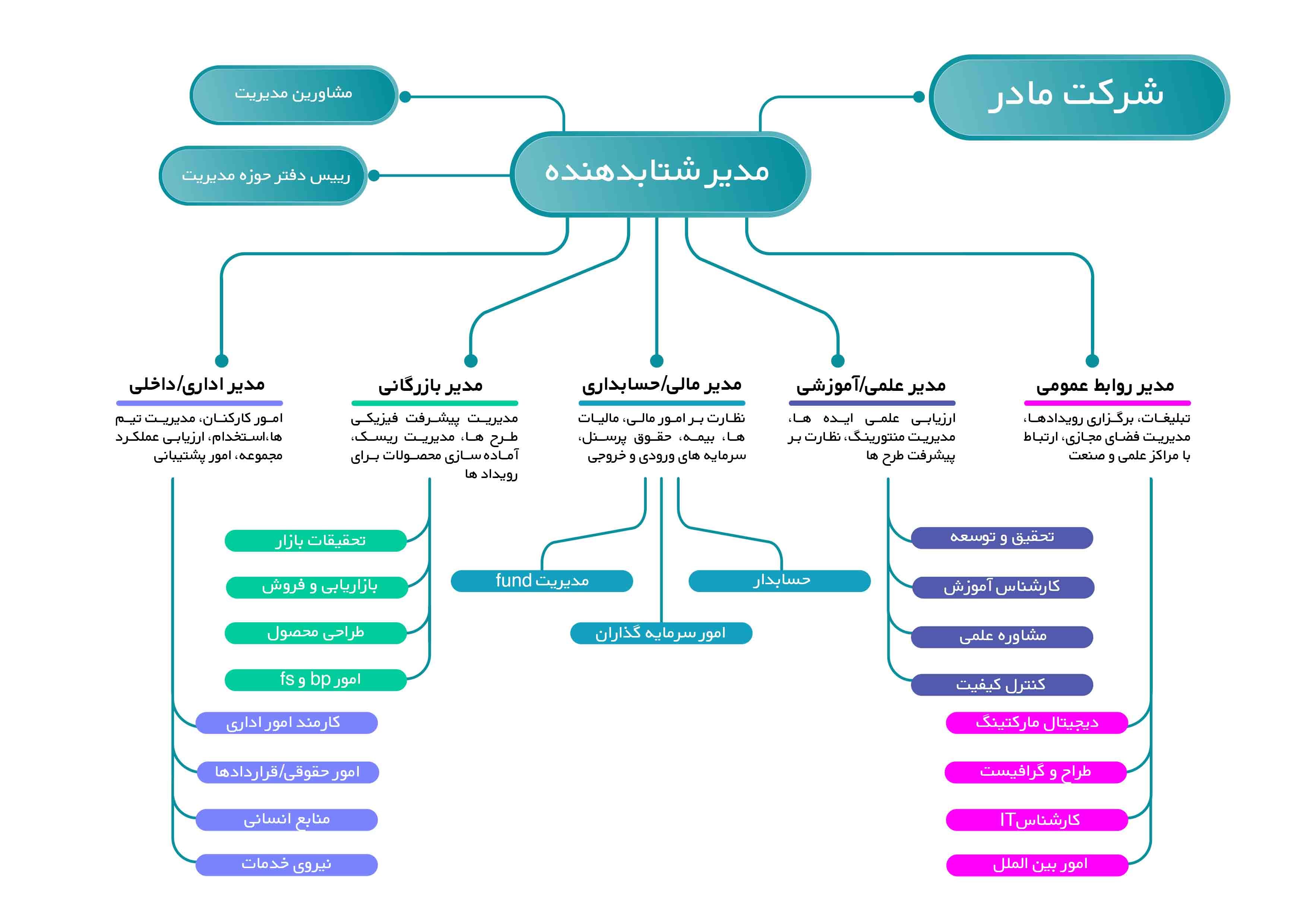 چارت سازمانی نانوپل