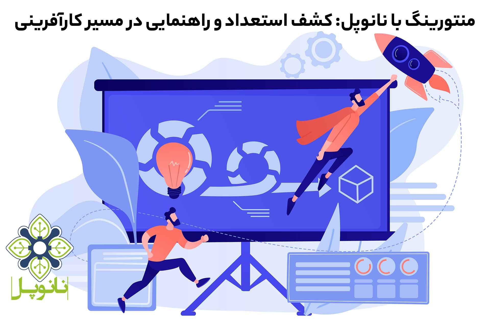 mentoring-with-nanopol