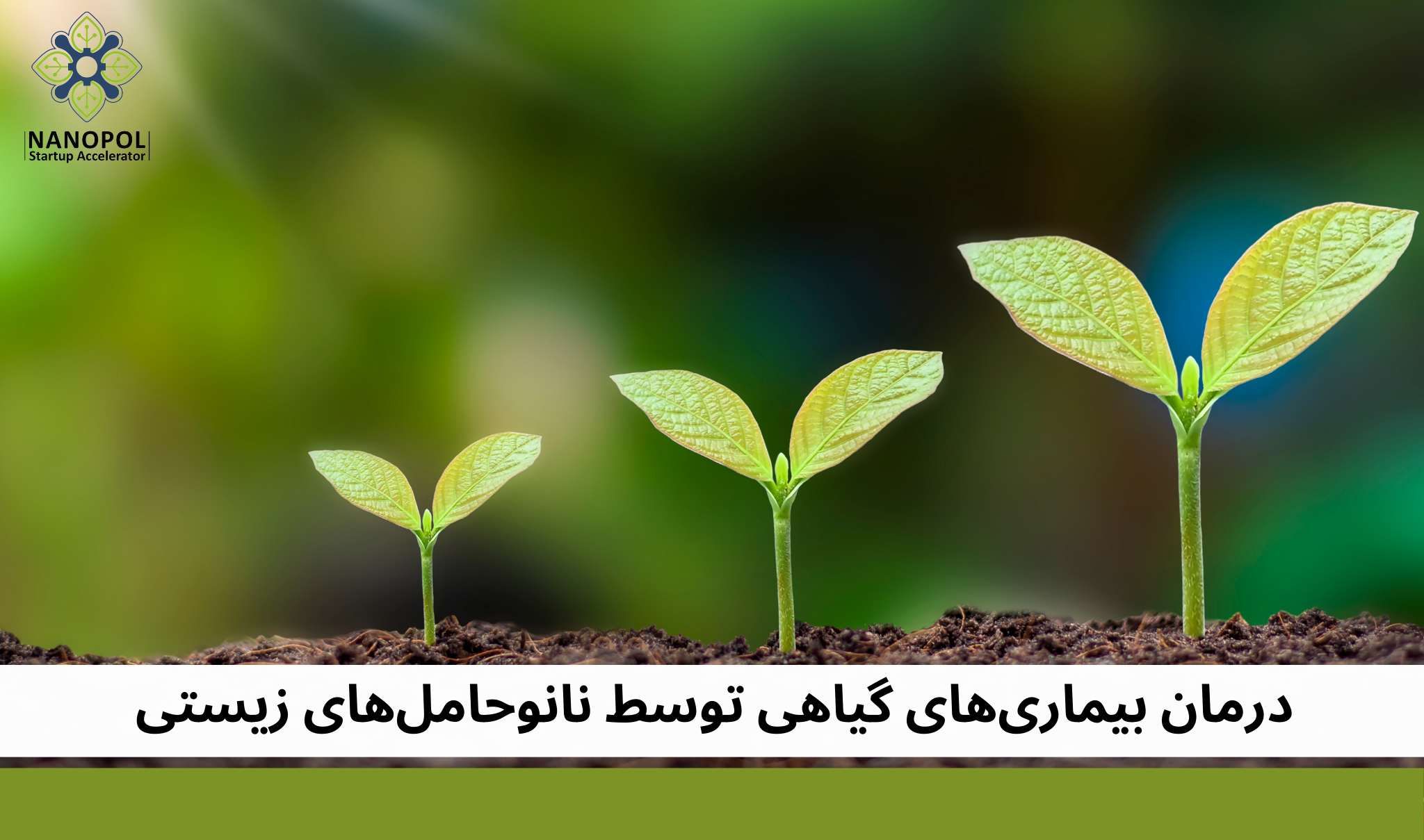 درمان بیماری‌های گیاهی توسط نانوحامل‌های زیستی