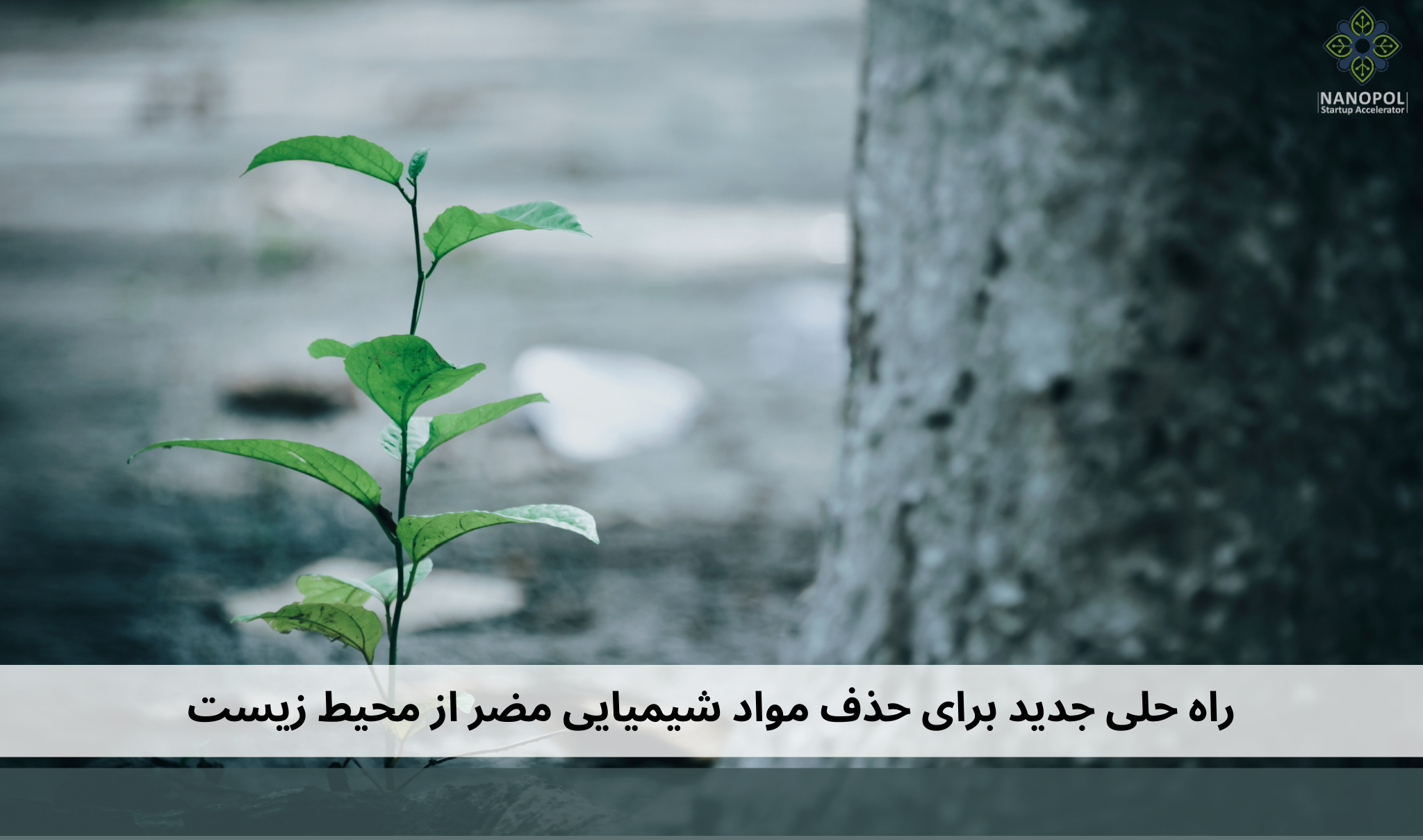 راه حلی جدید برای حذف مواد شیمیایی مضر از محیط زیست